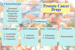 ﻿Prostate Medication