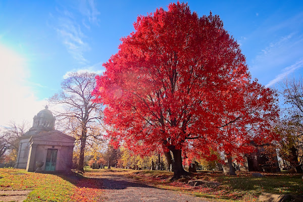 2023 Fall Foliage