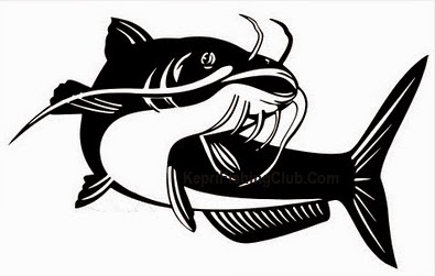 98+ Gambar Ikan Lele Kartun PNG | Cikimm.com