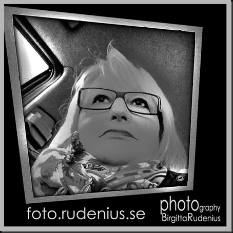 br_20120310bw