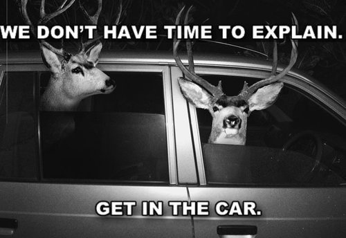 We Don't Have Time To Explain - Get In The Car