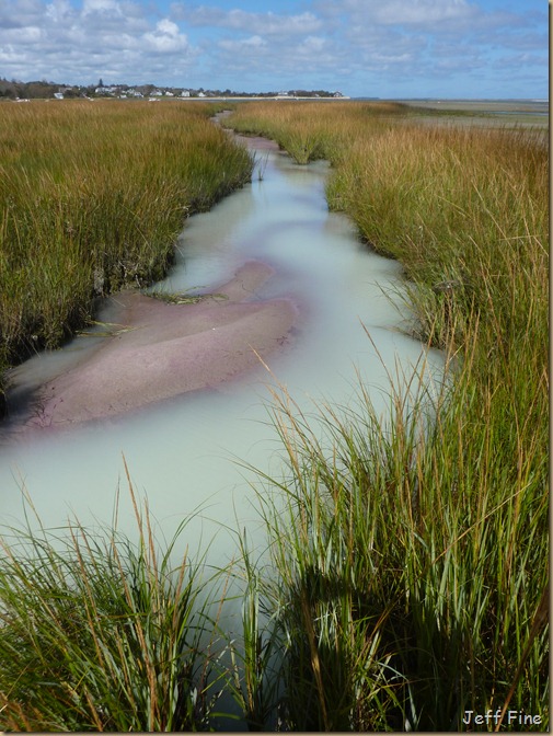 lighthouse beach_036