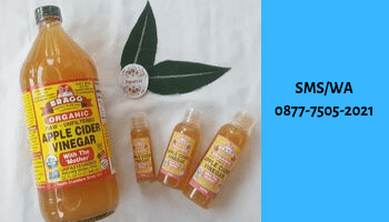 Jual Cuka Apel di Serang