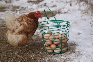 Image result for Egg delivery