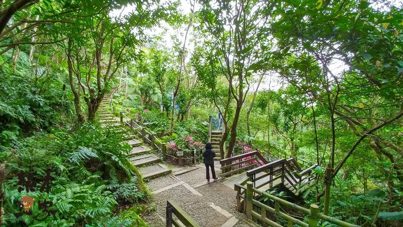 土城獅子亭賞櫻花｜桐花公園櫻花季｜桐花公園可不是只有油桐花和賞螢哦