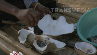 Pesona lembata semakin lengkap dengan adanya sajian kuliner yang menggugah selera.