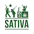 สายพันธุ์กัญชา : ซาติว่า (Sativa)