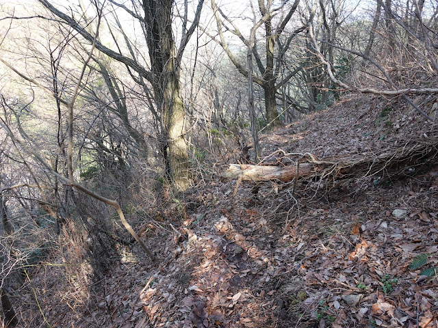 孝霊山　中腹の急な坂道