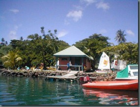 Optimist racing, savusavu