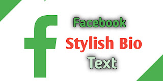facebook stylish bio text