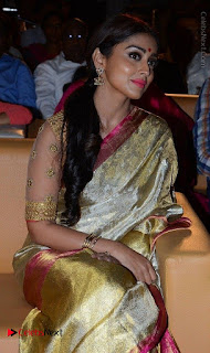 Actress Shriya Saran New Images in Silk Saree at Gautamiputra Satakarni Audio Launch  0008.jpg