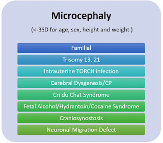 Familial Trisomy 13, 21 Intrauterine TORCH infection Cerebral Dysgenesis/CP Cri du Chat Syndrome Fetal Alcohol/Hydrantoin/Cocaine Syndrome Craniosynostosis Neuronal Migration Defect 