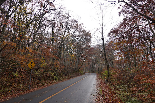 鳥取県道45号倉吉江府溝口線（大山環状道路）