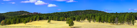 Dakota Visions Photography: Custer State Park Panorama using Adobe Photoshop CS6 Photomerge