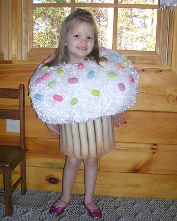 Cupcake Costumes For Adults