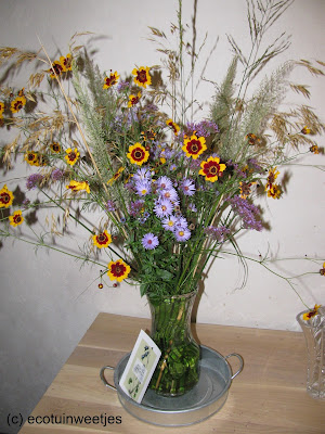 Ecologische siertuin bloemen boeket (1) Meisjesogen of Coreopsis Verticillata (2) Herfstaster “Laevis“ (3) Verbena Bonariensis (4) Stipa Gigantea of Straalhaver of Reuzevedergras (5) Calamagrostis brachytricha of Diamantgras (6) Miscanthus Sinensis “Kleine Fonteine”