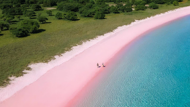 Pink Beach Lombok Indonesia