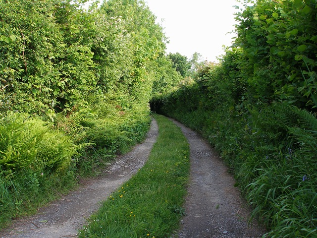 24th_may_08