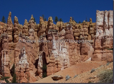 Bryce_0184