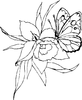 butterfly coloring pages,flower and butterfly coloring pages