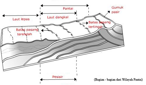 Rokes = sukses: Materi geografi (PERAIRAN LAUT) for para 