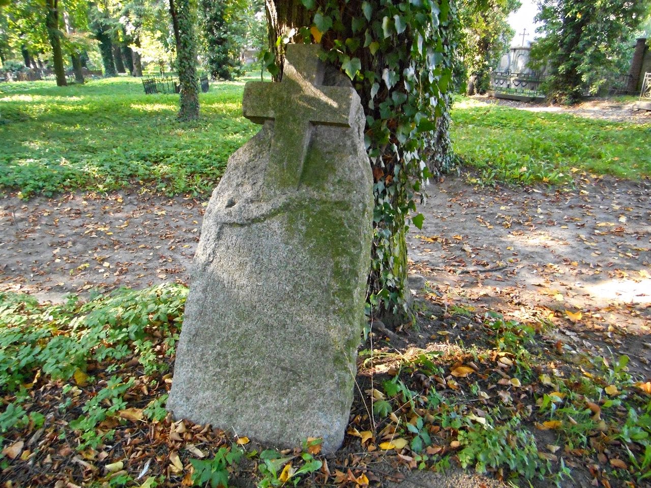 Cmentarze ewangelickie są częścią historii ludzi ziemi wschowskiej.