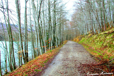 Camino vuelta al embalse de Irabia por el sendero SL-NA 53C.