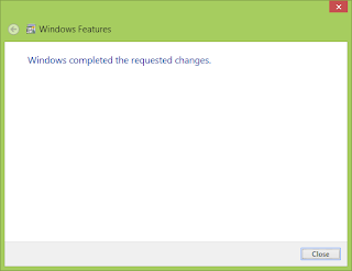 IIS Windows 8