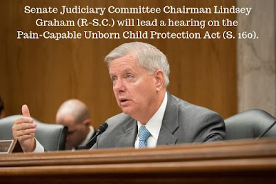 U.S. Senate Judiciary Committee to hold hearing on protecting pain-capable unborn children