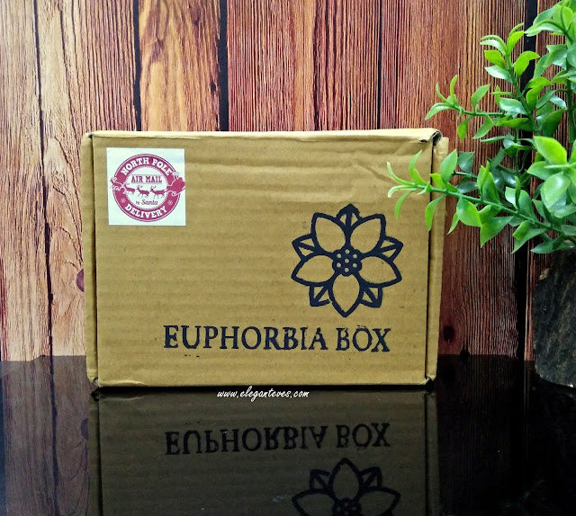 India’s most affordable beauty subscription box Euphorbia Box December edition