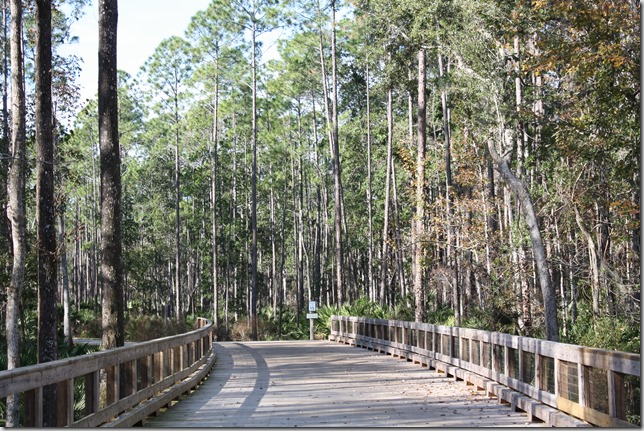 trail