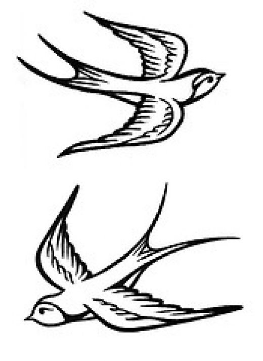 tribal bird tattoo. makeup Bird Tattoos of Tattoo