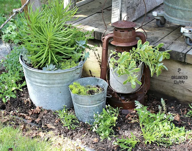 Rusty Lantern Succulent Planter