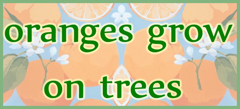 Oranges Grow on Trees