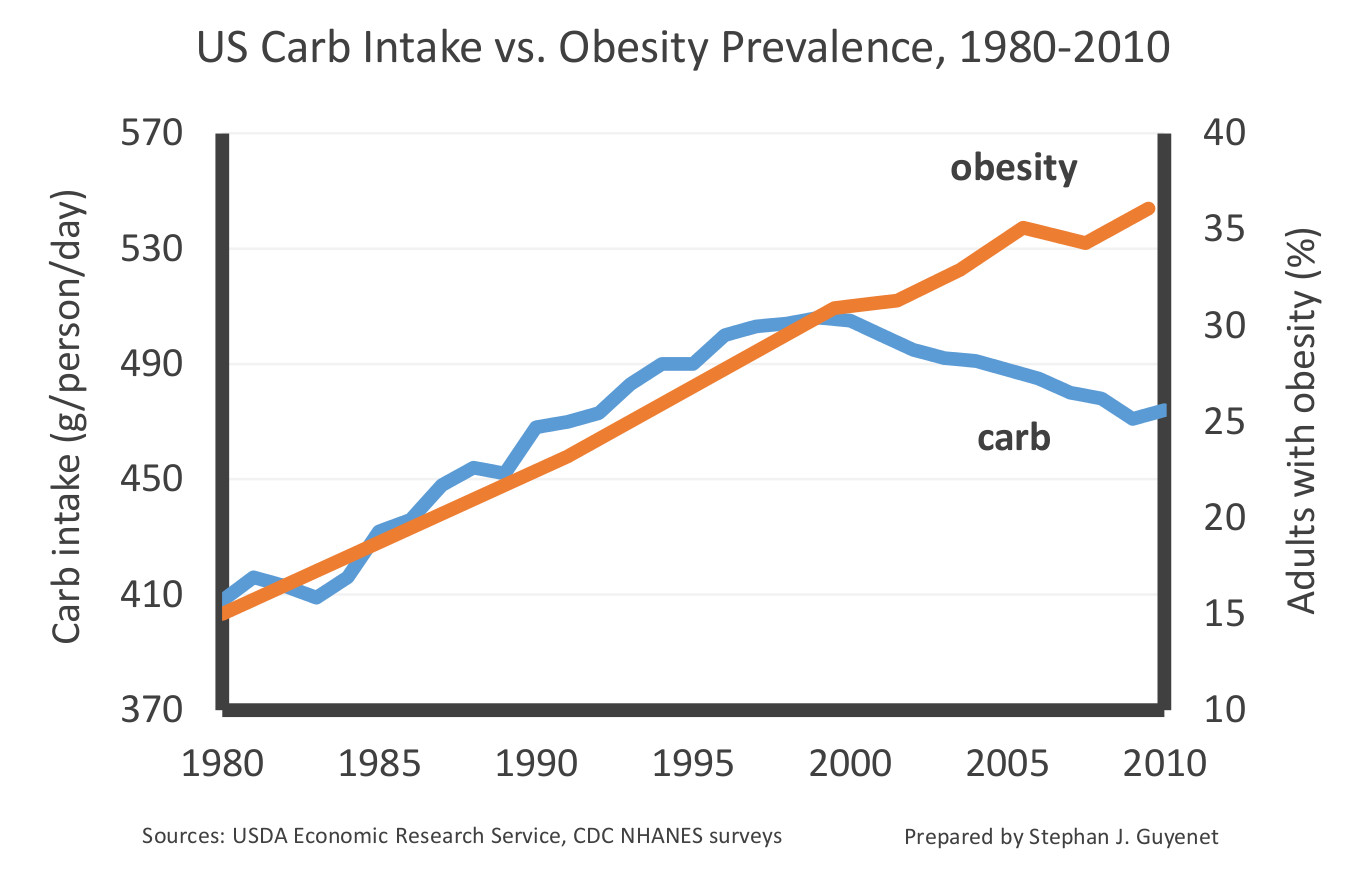 anorexia and body fat percentage