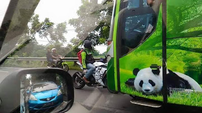 Ediyan tenan kang... rider ini baru saja menghadang bus restu panda yang lawan arus di lintas kertosono kediri jam 09:00 pagi tadi ( 06/02/2016 )