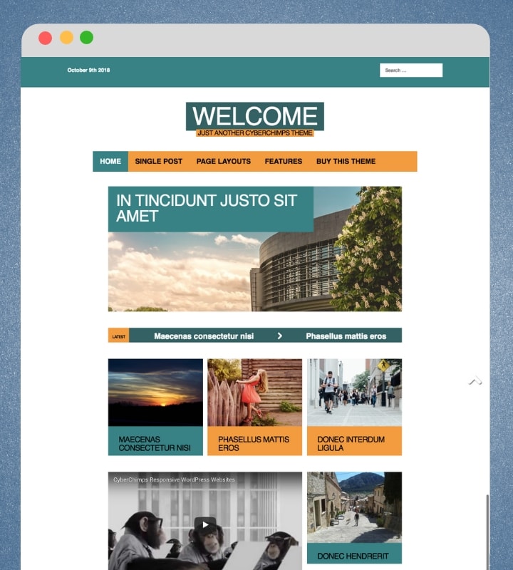 Quintessential (Magazine WordPress Theme With a Video Background)