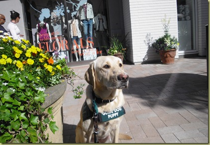 Another photo of Reyna sitting by the same planter, but the photo is taken from a different angle.