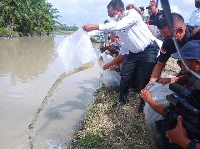 Bupati Serdang Bedagai Darma Wijaya Tabur 3000 Bibit Nila di Sungai Belutu