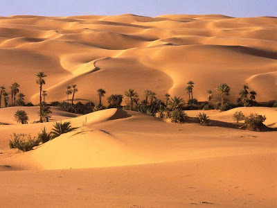 Beautiful Desert Normal Resolution HD Wallpaper 7