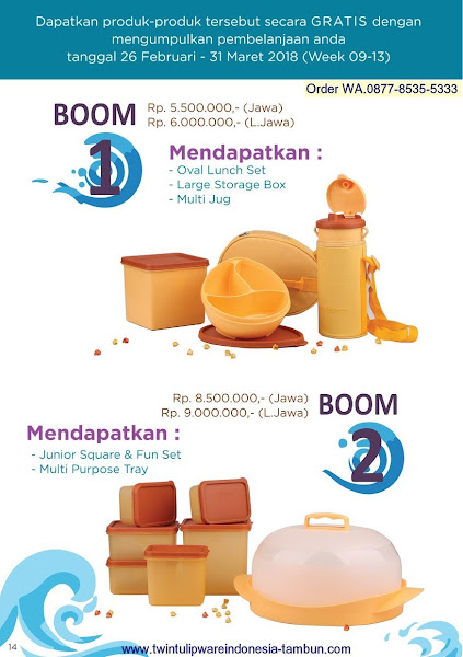 BOOM Tulipware Maret 2018