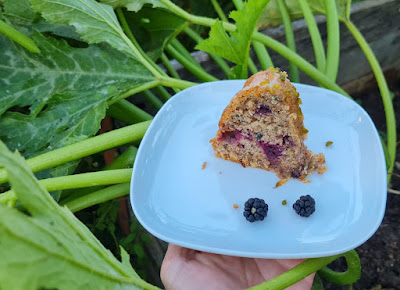 Zucchini-Brombeer-Kuchen