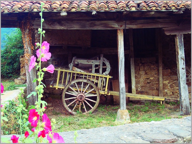 DSC02221copiacopia