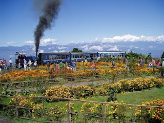 The Toy Train in Darjeeling 