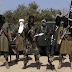 Boko haram slaughters 28 in fresh attack in Borno