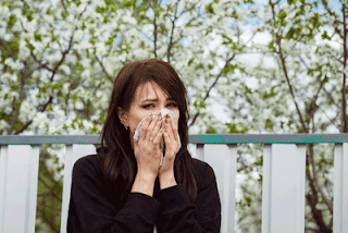 allergies and dustmites