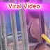 Viral Video: পড়নে বিকিনি, বাসে উঠে পড়লেন যুবতী, ভাইরাল ভিডিও
