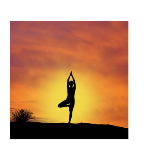 How to do the surya namaskar yoga steps correctly