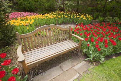 wooden garden bench