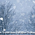 How to Add Christmas Snow Fall Effect to Blogger blog